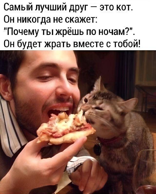 Самый лучший друг — это кот. Он никогда не скажет: Почему ты жрёшь по ночам? Он будет жрать вместе с тобой!