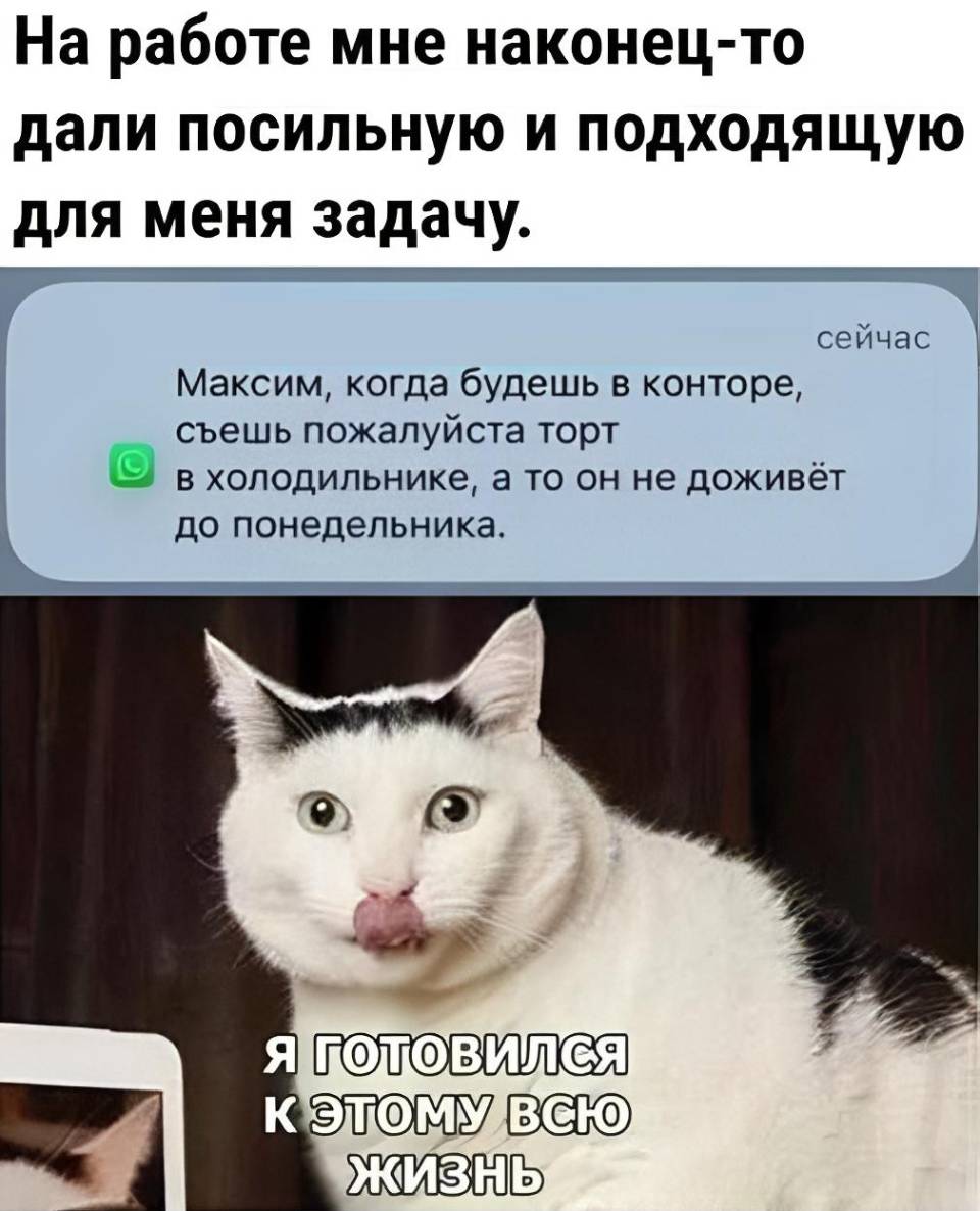 На работе мне наконец-то дали посильную и подходящую для меня задачу.
Сообщения: Максим, когда будешь в конторе, съешь пожалуйста торт в холодильнике, а то он не доживёт до понедельника.
*Я ГОТОВИЛСЯ К ЭТОМУ ВСЮ СВОЮ ЖИЗНЬ*