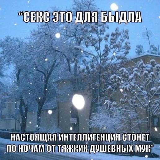Секс — это для быдла.
Настоящая интеллигенция стонет по ночам от тяжких душевных мук.