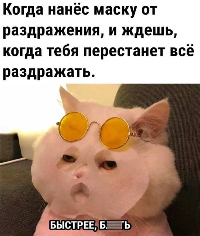 Когда нанёс маску от раздражения, и ждешь, когда тебя перестанет всё раздражать.
– Быстрее, блть!