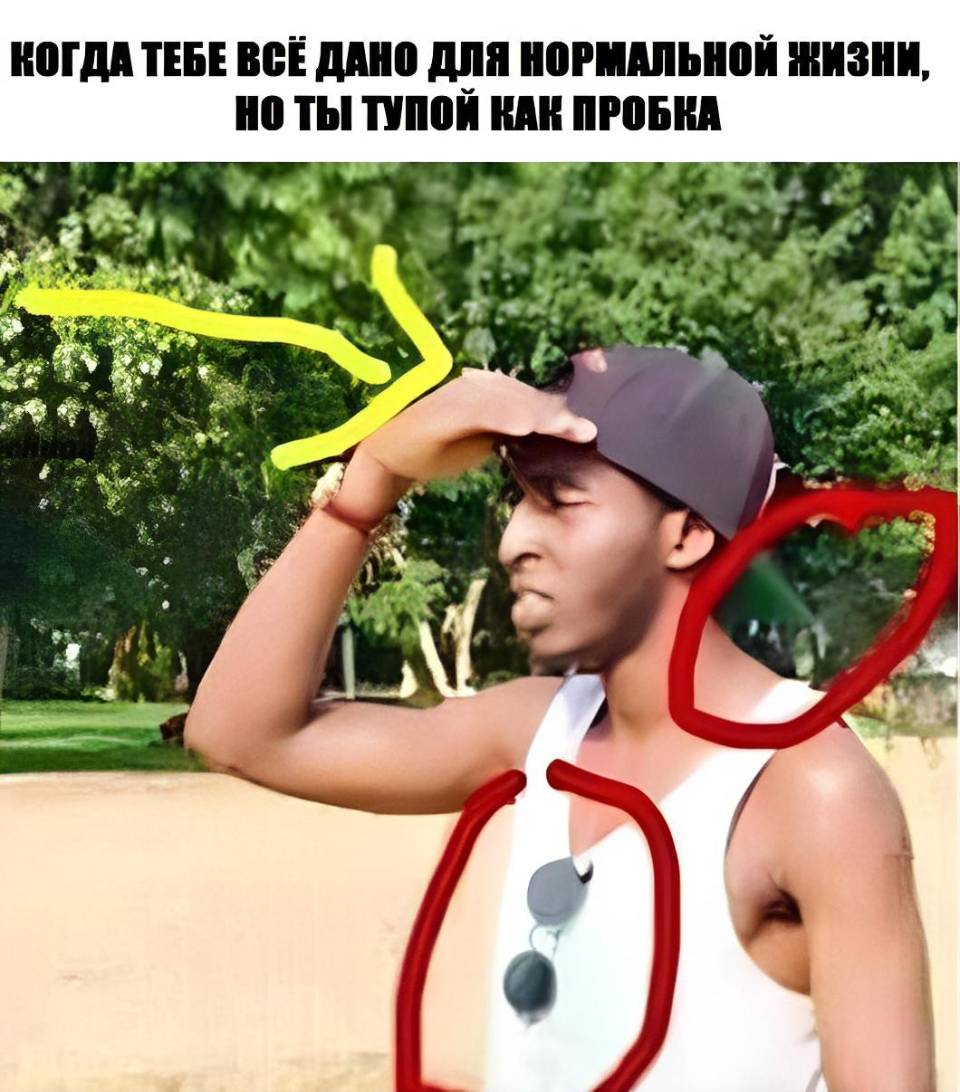 *КОГДА ТЕБЕ ВСЕ ДАНО ДЛЯ НОРМАЛЬНОЙ ЖИЗНИ, НО ТЫ ТУПОЙ КАК ПРОБКА*