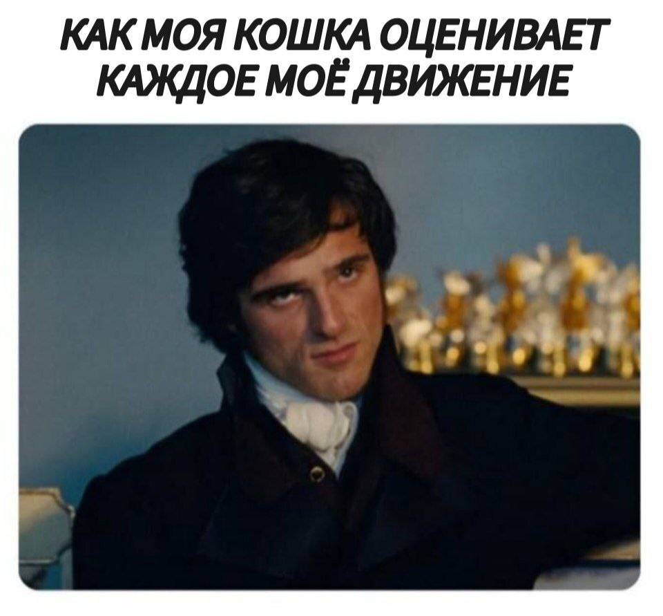 *КАК МОЯ КОШКА ОЦЕНИВАЕТ КАЖДОЕ МОЁ ДВИЖЕНИЕ*
