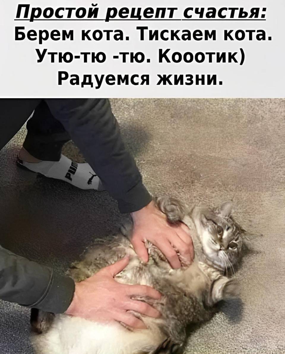 Простой рецепт счастья:
Берём кота.
Тискаем кота.
Утю-тю -тю. Коостик!
Радуемся жизни.