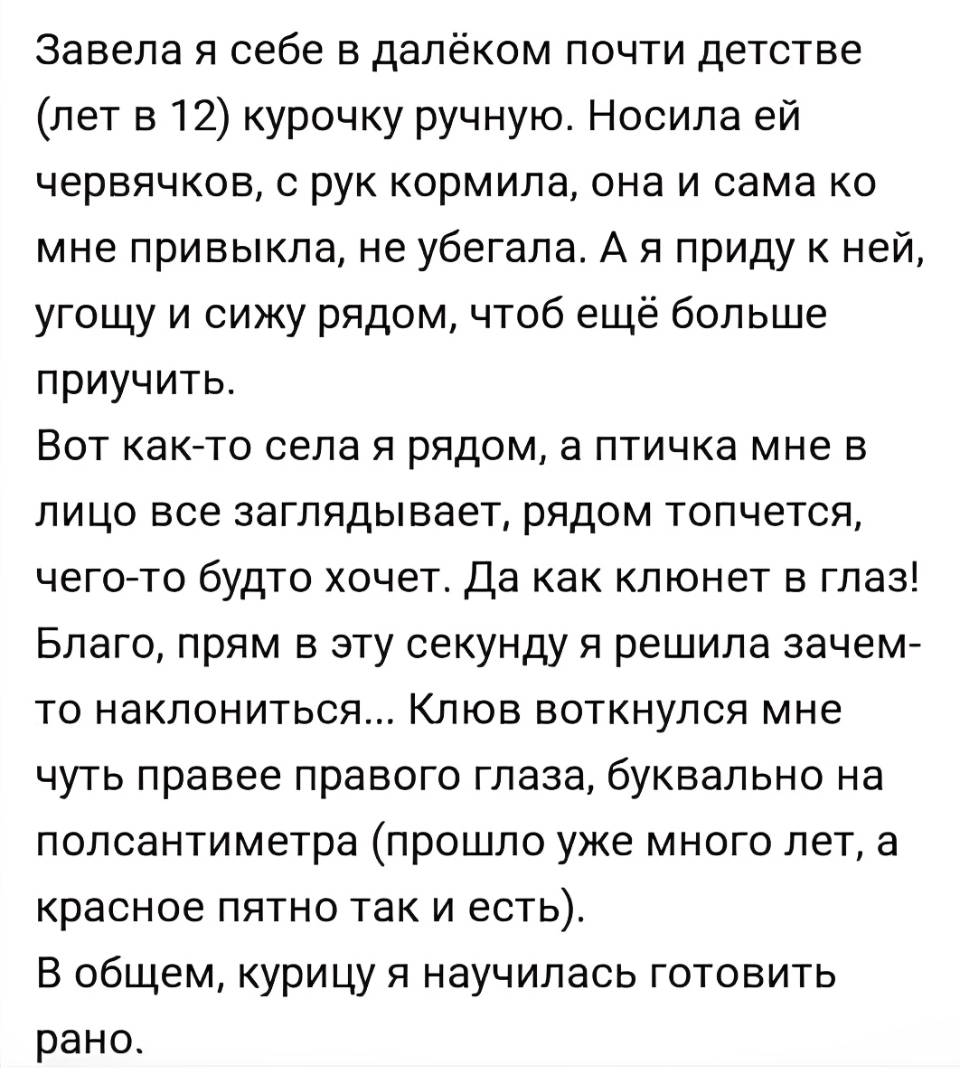 Завела я себе в далёком почти детстве (лет в 12) курочку ручную. Носила ей червячков, с рук кормила, она и сама ко мне привыкла, не убегала. А я приду к ней, угощу и сижу рядом, чтоб ещё больше приучить. Вот как-то села я рядом, а птичка мне в лицо все заглядывает, рядом топчется, чего-то будто хочет. Да как клюнет в глаз! Благо, прям в эту секунду я решила зачем-то наклониться... Клюв воткнулся мне чуть правее правого глаза, буквально на полсантиметра (прошло уже много лет, а красное пятно так и есть). В общем, курицу я научилась готовить рано.