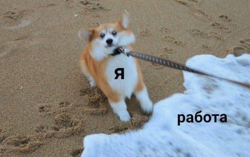 *Я и работа*