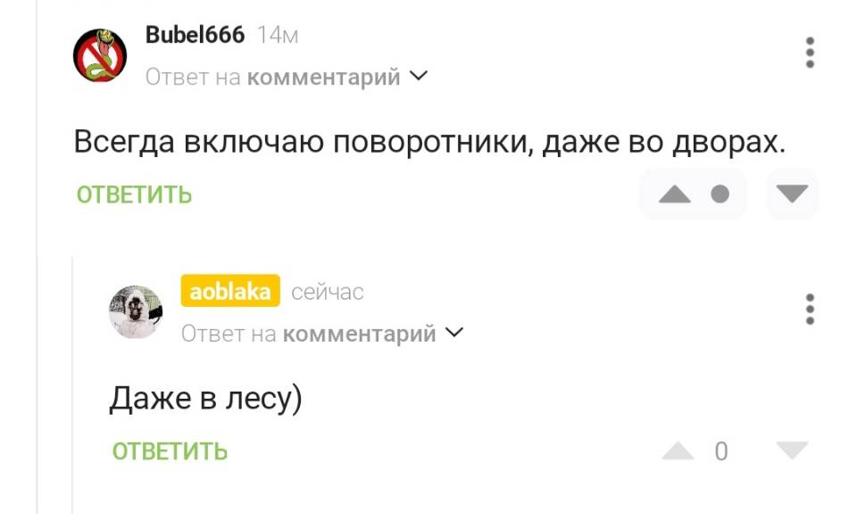 – Всегда включаю поворотники, даже во дворах.
– Даже в лесу)