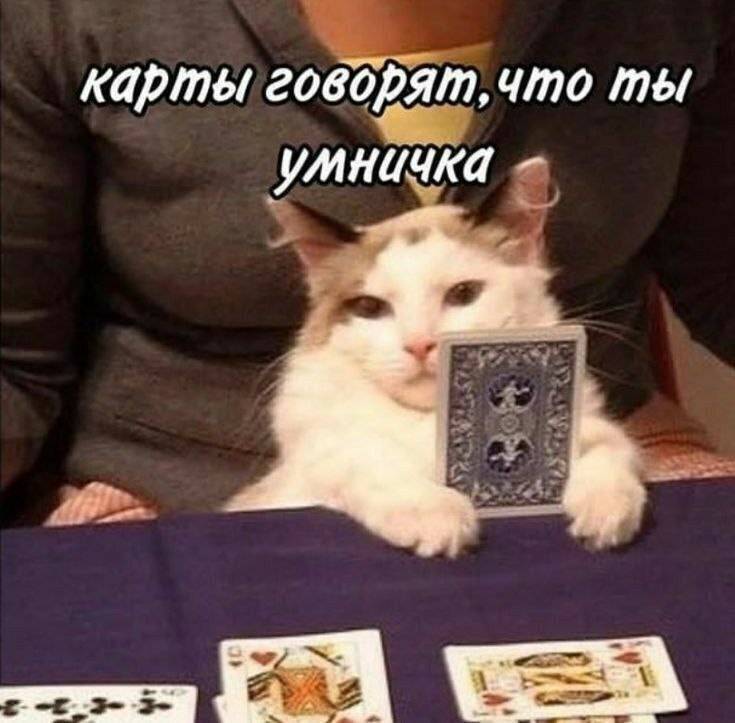 Карты говорят, что ты — УМНИЧКА!