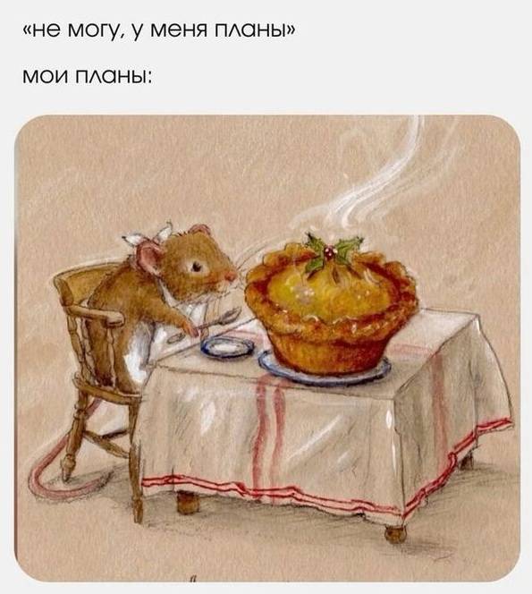 «Не могу, у меня планы»
Мои планы:
