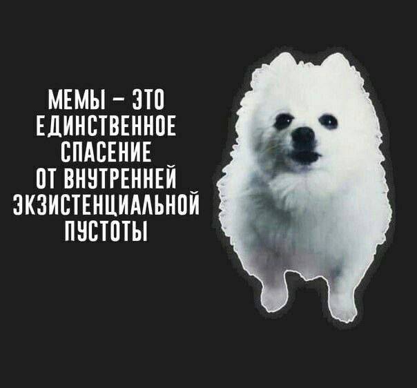 МЕМЫ — ЭТО ЕДИНСТВЕННОЕ СПАСЕНИЕ ОТ ВНУТРЕННЕЙ ЭКЗИСТЕНЦИАЛЬНОЙ ПУСТОТЫ.
