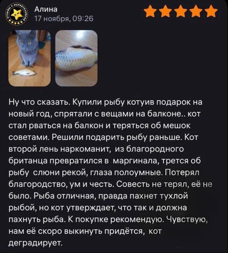 Ну что сказать. Купили рыбу котуив подарок на новый год, спрятали с вещами на балконе.. кот стал рваться на балкон и теряться об мешок советами. Решили подарить рыбу раньше. Кот второй лень наркоманит, из благородного британца превратился в маргинала, трется об рыбу слюни рекой, глаза полоумные. Потерял благородство, ум и честь. Совесть не терял, её не было. Рыба отличная, правда пахнет тухлой рыбой, но кот утверждает, что так и должна пахнуть рыба. К покупке рекомендую. Чувствую, нам её скоро выкинуть придётся, кот деградирует.