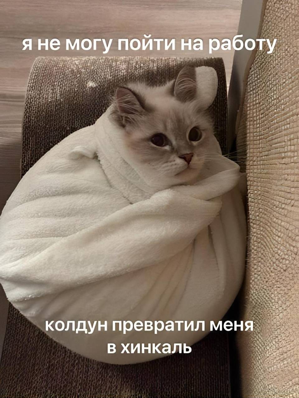 *Я не могу пойти на работу. Колдун превратил меня в хинкаль.*