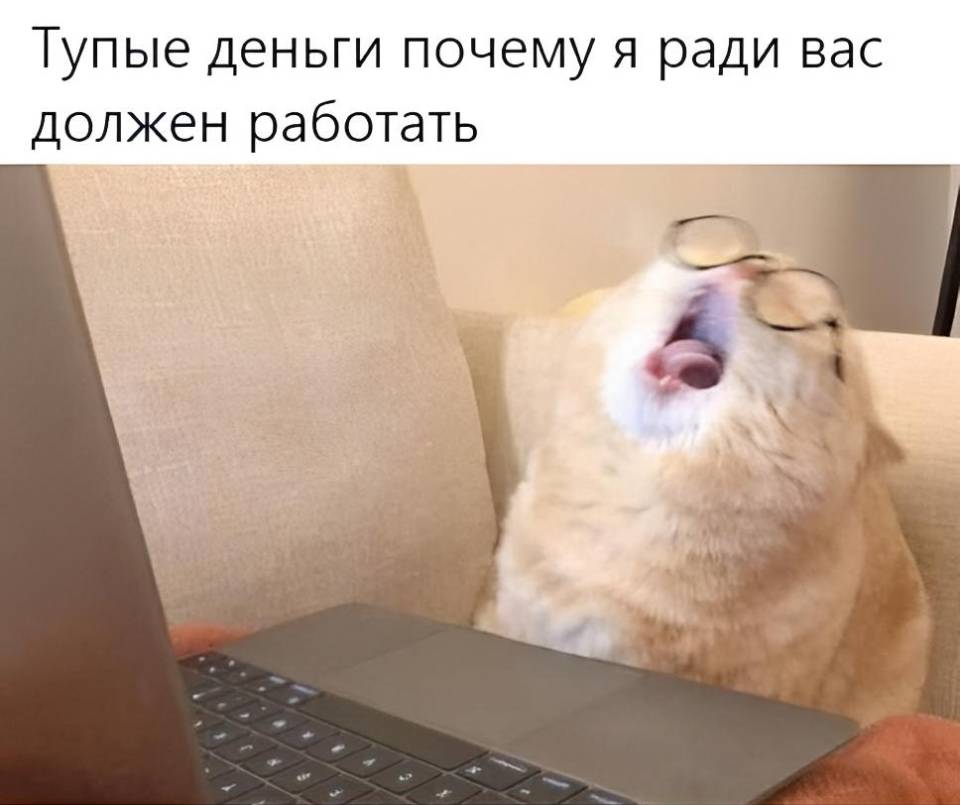 Моё настроение сегодня: Тупые деньги почему я ради вас должен работать?