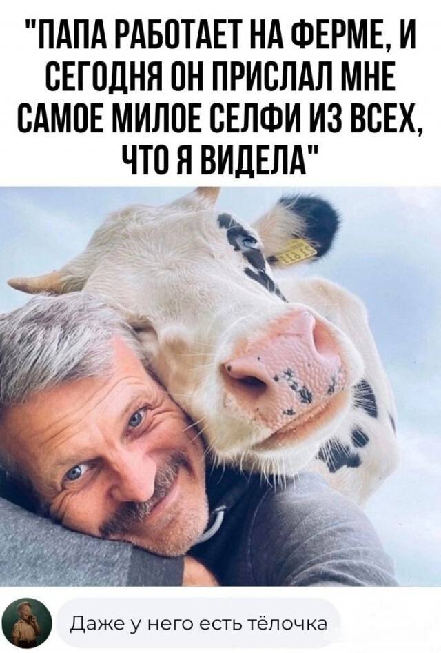 *ПАПА РАБОТАЕТ НА ФЕРМЕ, И СЕГОДНЯ ОН ПРИСЛАЛ МНЕ САМОЕ МИЛОЕ СЕЛФИ ИЗ ВСЕХ, ЧТО Я ВИДЕЛА*
– Даже у него есть тёлочка.