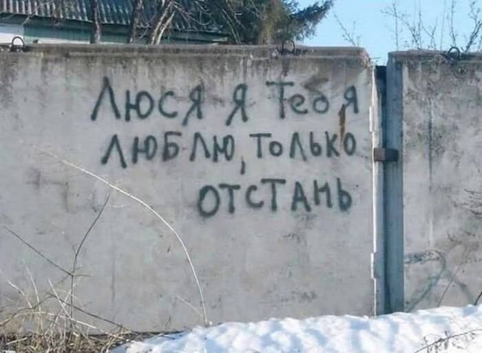 Надпись на заборе:
*Люся, я тебя люблю, только отстань!*