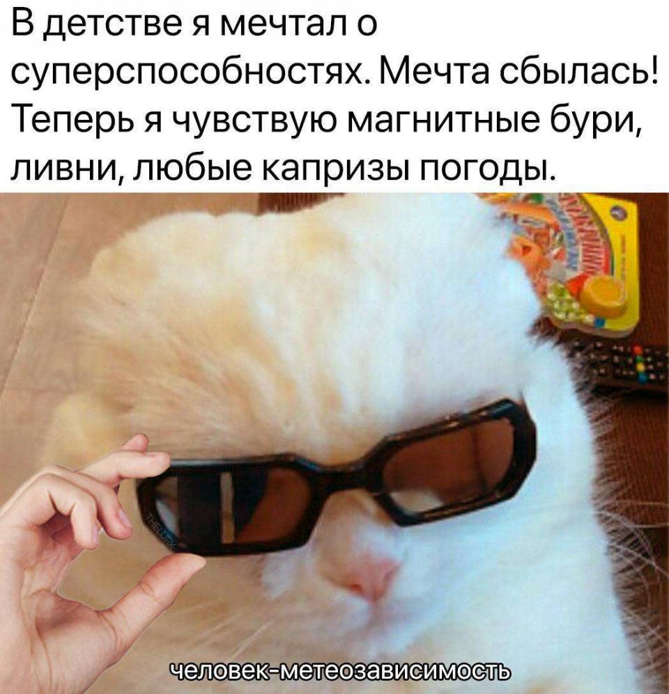 Всю свою жизнь я мечтал о суперспособностях. И вот моя мечта сбылась! Теперь я чувствую магнитные бури, ливни, любые капризы погоды.