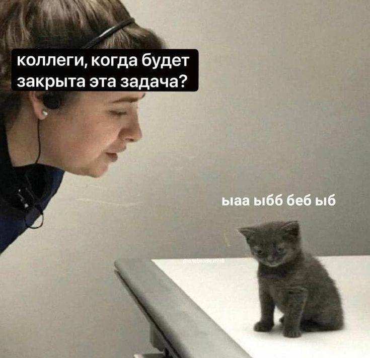 – Коллеги, когда будет закрыта эта задача?
– Ыаа ыбб беб ыб...