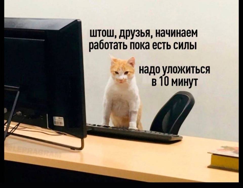 – Штош, друзья, начинаем работать пока есть силы, надо уложиться в 10 минут...