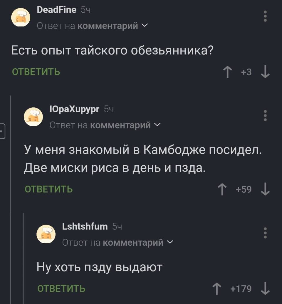 – Есть опыт тайского обезьянника?
– У меня знакомый в Камбодже посидел. Две миски риса в день и пзда.
– Ну хоть пзду выдают.