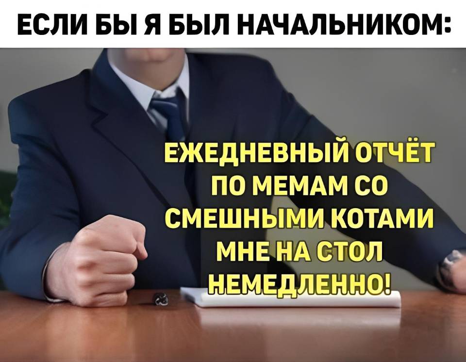 ЕСЛИ БЫ Я БЫЛ НАЧАЛЬНИКОМ:
– ЕЖЕДНЕВНЫЙ ОТЧЁТ ПО МЕМАМ СО СМЕШНЫМИ КОТАМИ МНЕ НА СТОЛ НЕМЕДЛЕННО!