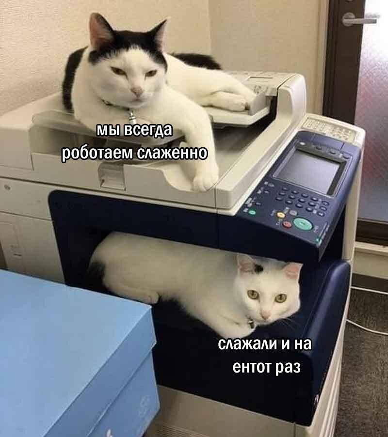 – Мы всегда работаем слаженно.
– Слажали и на этот раз.