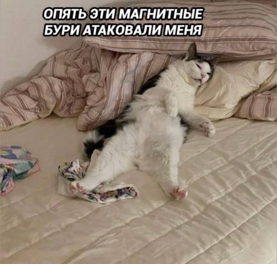 *Опять эти магнитные бури атаковали меня*