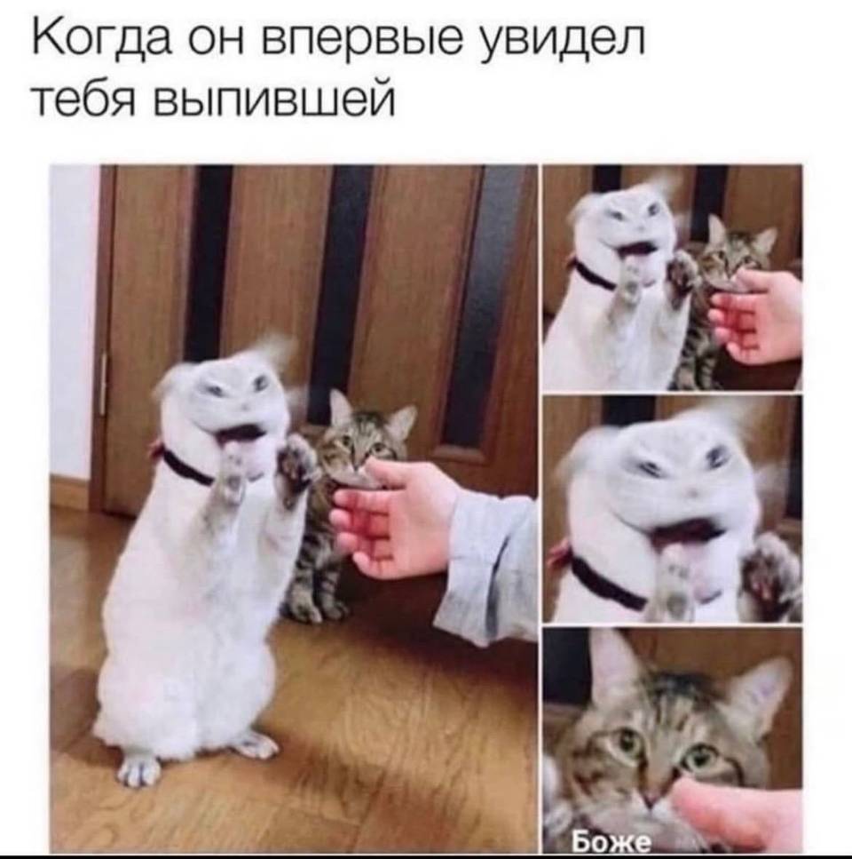 Когда он впервые увидел тебя выпившей:
– Боже...