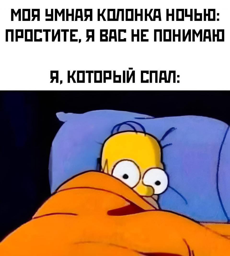 Моя умная колонка ночью: Простите, я вас не понимаю.
Я, который спал: О_о