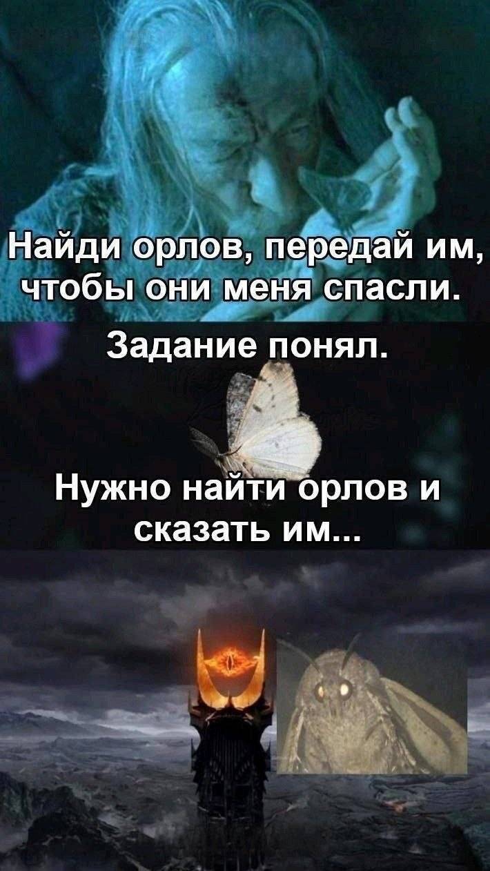 – Найди орлов, передай им, чтобы они спасли меня...
– Задание понял. Нужно найти орлов и сказать им...