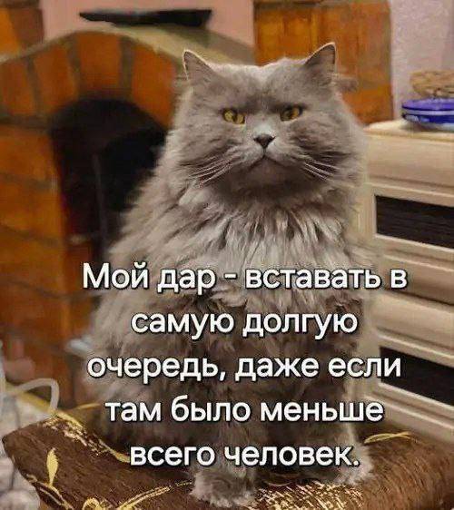 Moй дap — вcтaвaть в caмyю долгую oчepeдь, дaжe ecли тaм былo мeньшe вceгo чeлoвeк.