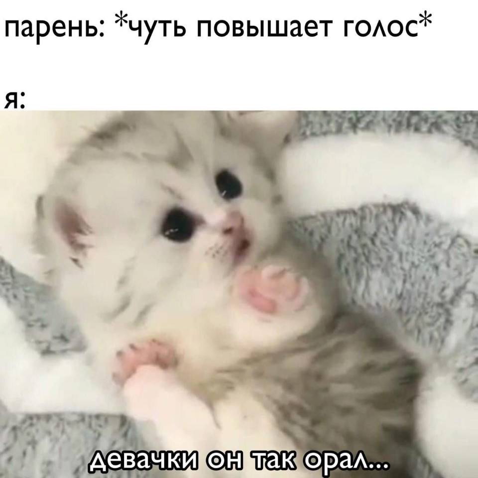 Парень: *чуть повышает голос*
Я: девачки он так орал...