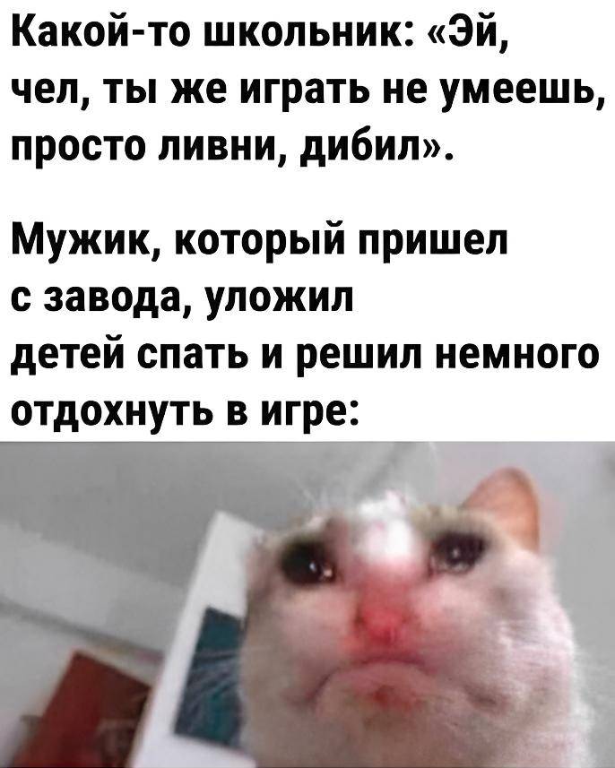 Какой-то школьник: «Эй, чел, ты же играть не умеешь, просто ливни, дибил». Мужик, который пришел с завода, уложил детей спать и решил немного отдохнуть в игре: