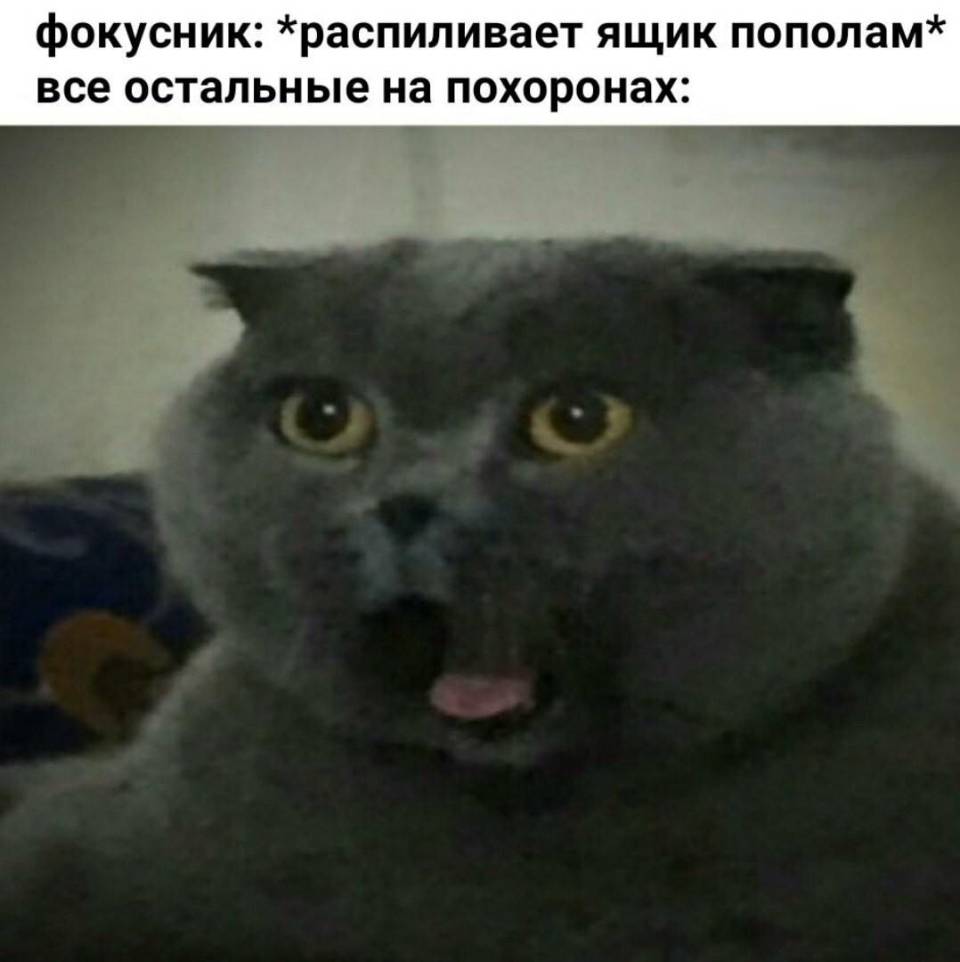 Фокусник: *распиливает ящик пополам*
Все остальные на похоронах: О_О