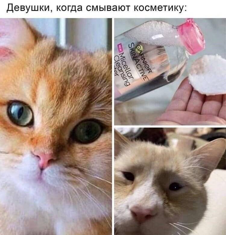 *Девушки, когда смывают косметику*