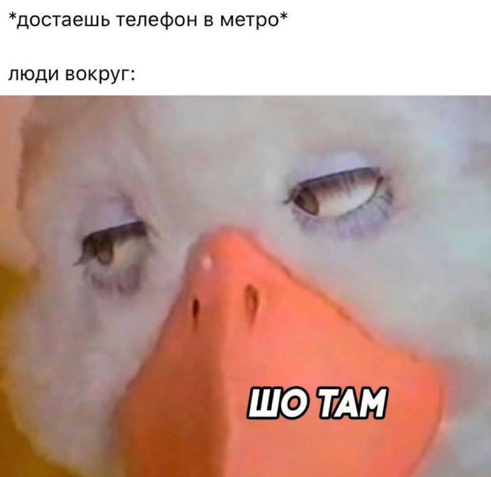 *достаешь телефон в метро*
Люди вокруг: Шо там?