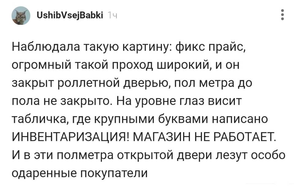 Наблюдала такую картину: фикс прайс, огромный такой проход широкий, и он закрыт роллетной дверью, пол метра до пола не закрыто. На уровне глаз висит табличка, где крупными буквами написано ИНВЕНТАРИЗАЦИЯ! МАГАЗИН НЕ РАБОТАЕТ. И в эти полметра открытой двери лезут особо одаренные покупатели.