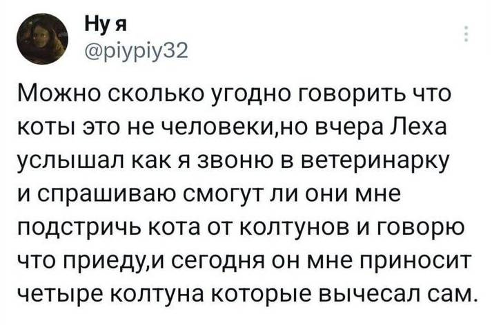 Можно сколько угодно говорить что коты это не человеки, но вчера Леха услышал как я звоню в ветеринарку и спрашиваю смогут ли они мне подстричь кота от колтунов и говорю что приеду, и сегодня он мне приносит четыре колтуна которые вычесал сам.