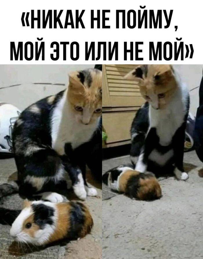 «Никак не пойму, мой это или не мой»