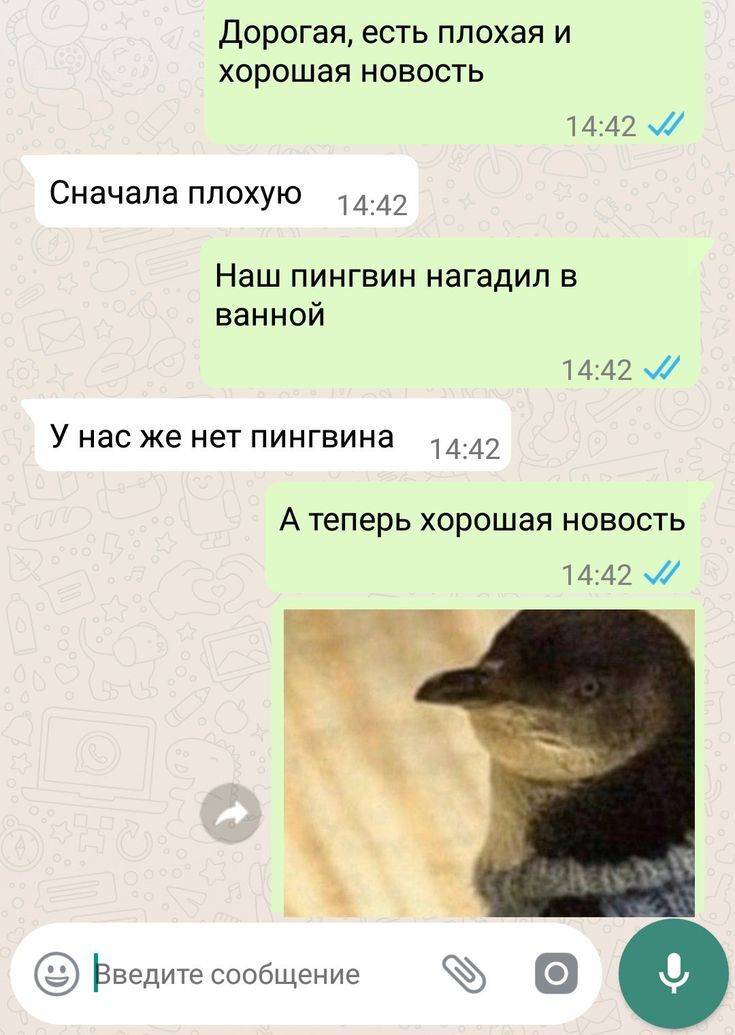 – Дорогая, есть плохая и хорошая новость.
– Сначала плохую.
– Наш пингвин нагадил в ванной.
– У нас же нет пингвина!
– А теперь хорошая новость.