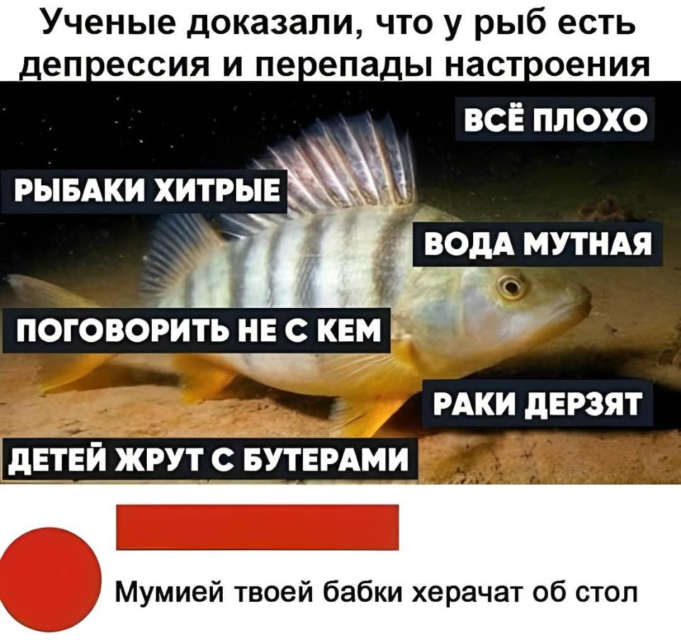 Ученые доказали, что у рыб есть депрессия и перепады настроения.
ВСЁ ПЛОХО 
РЫБАКИ ХИТРЫЕ
ВОДА МУТНАЯ
ПОГОВОРИТЬ НЕ С КЕМ
РАКИ ДЕРЗЯТ
ДЕТЕЙ ЖРУТ С БУТЕРАМИ
Мумией твоей бабки херачат об стол.