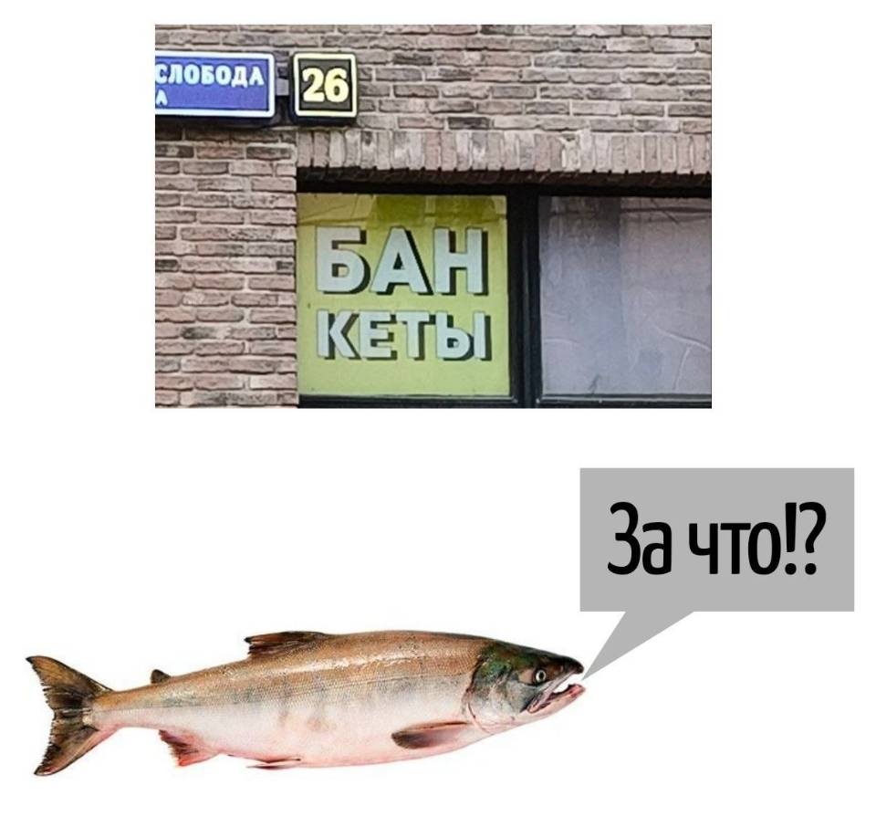 – «БАН КЕТЫ»
– За что?!