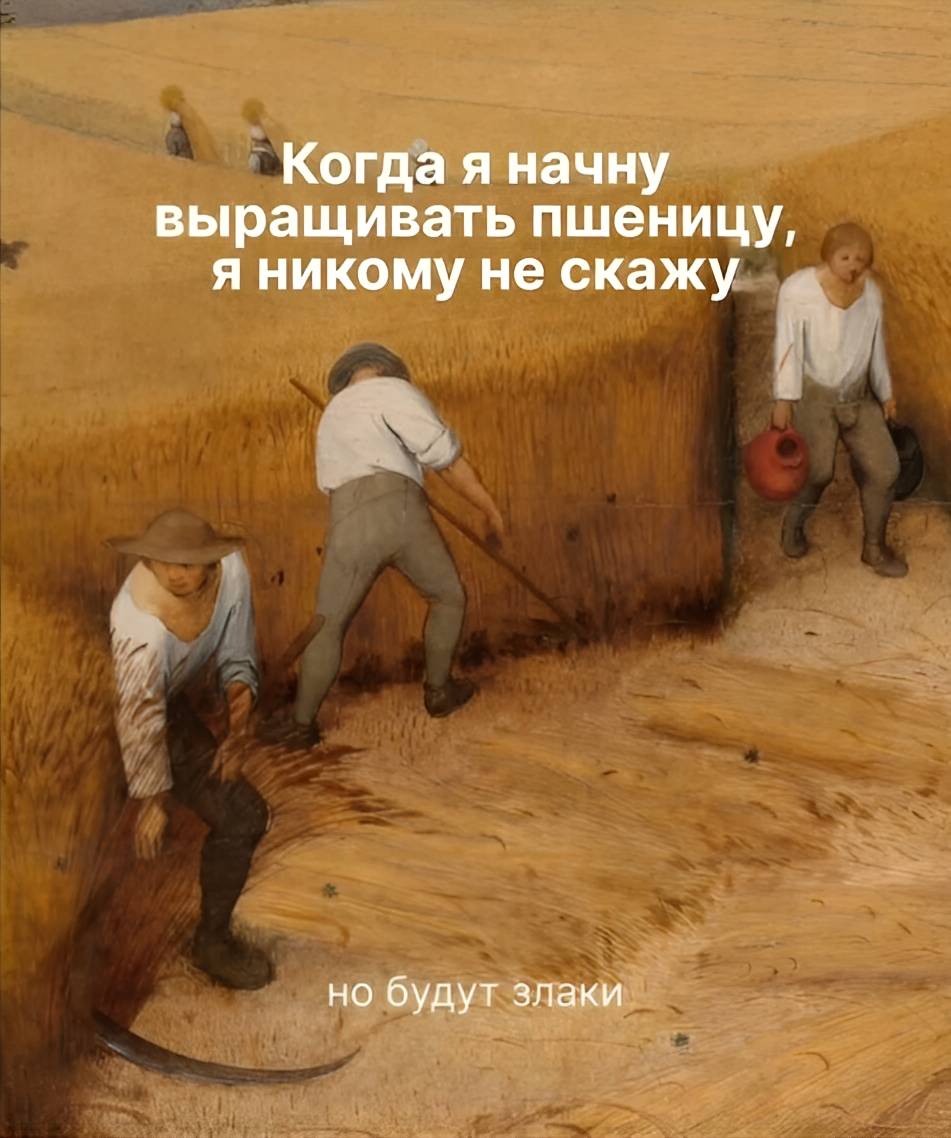 Когда я начну выращивать пшеницу, я никому не скажу, но будут злаки.