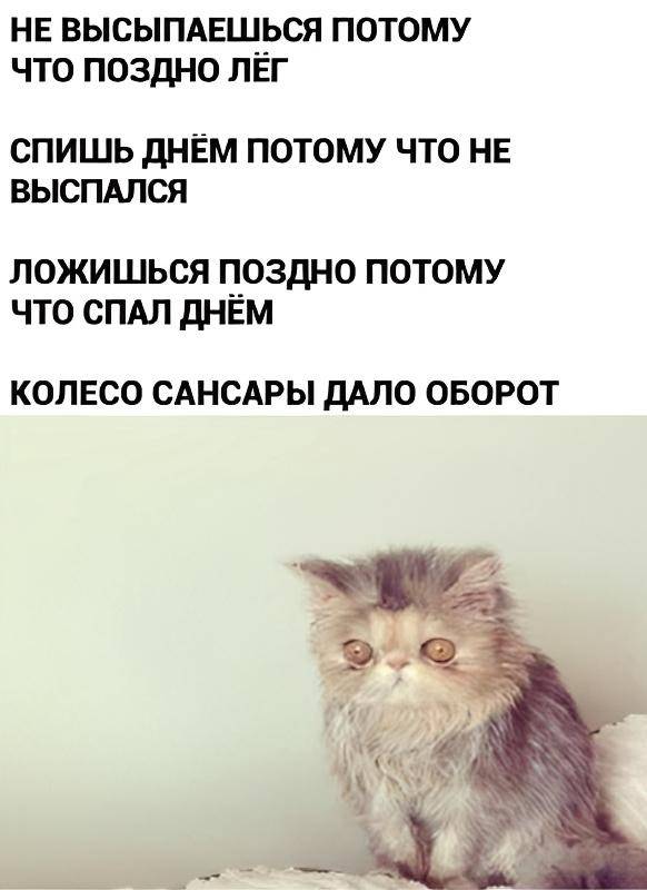 Не высыпаешься потому что поздно лёг.
Спишь днем потому что не выспался.
Ложишься поздно потому что спал днём.
Колесо сансары дало оборот.