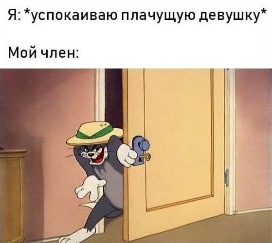 Я: *успокаиваю плачущую девушку*
*Мой член*