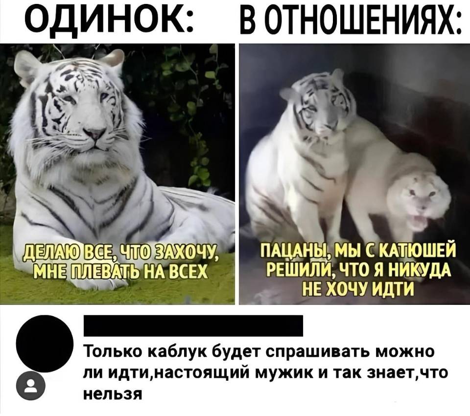 Одинок:
– Делаю всё, что захочу, мне плевать на всех...
В отношениях:
– Пацаны, мы с Катюшей решили, чир я никуда не хочу идти.

Только каблук будет спрашивать можно ли идти, настоящий мужик и так знает, что нельзя.