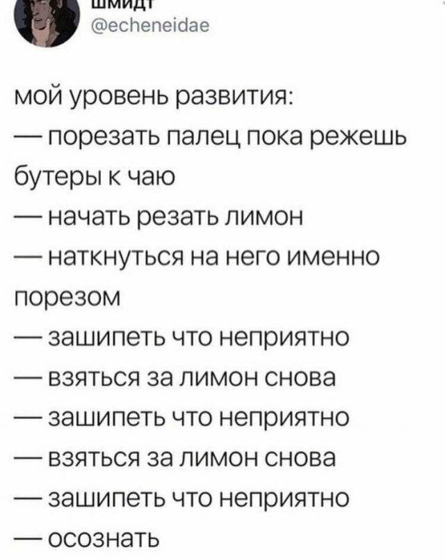 Мой уровень развития:
— порезать палец пока режешь бутеры к чаю
— начать резать лимон
— наткнуться на него именно порезом
— зашипеть что неприятно
— взяться за лимон снова
— зашипеть что неприятно
— взяться за лимон снова
— зашипеть что неприятно
— осознать