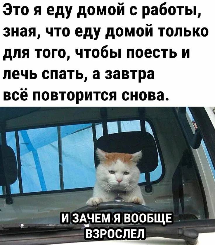 Это я еду домой с работы, зная, что еду домой только для того, чтобы поесть и лечь спать, а завтра всё повторится снова. | Работа