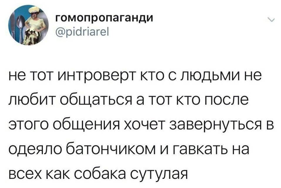 Не тот интроверт, кто с людьми не любит общаться, а тот, кто после этого общения хочет завернуться в одеяло батончиком и гавкать на всех, как собака сутулая. | Жизненное