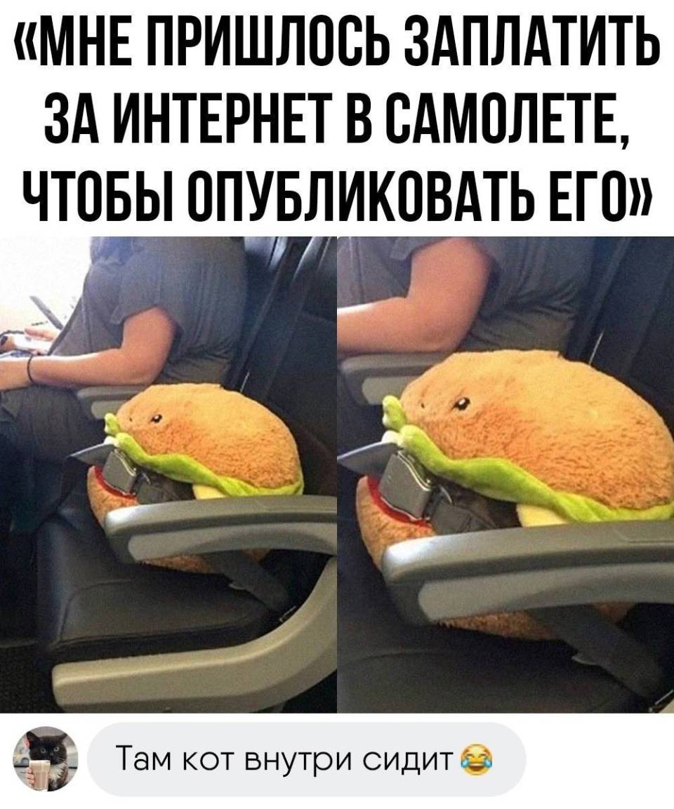 «МНЕ ПРИШЛОСЬ ЗАПЛАТИТЬ ЗА ИНТЕРНЕТ В САМОЛЕТЕ, ЧТОБЫ ОПУБЛИКПВАТЬ ЕГО»
– Там кот внутри сидит. | Общественный транспорт