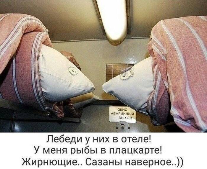 Лебеди у них в отеле! У меня рыбы в плацкарте! Жирнющие.. Сазаны наверное..))