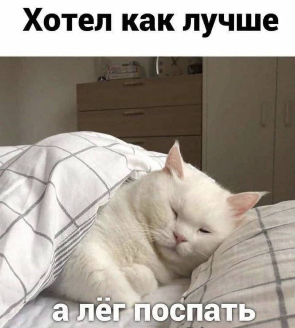 Хотел как лучше... а лёг поспать...